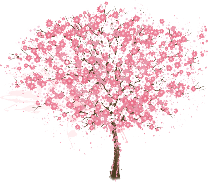 Cherry Tree PNG