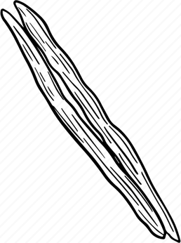 Drumstick Vegetable PNG