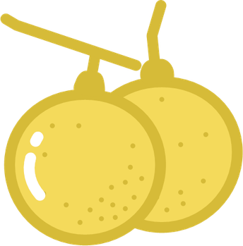 Longan PNG