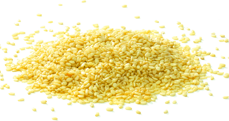 Sesame Seeds PNG