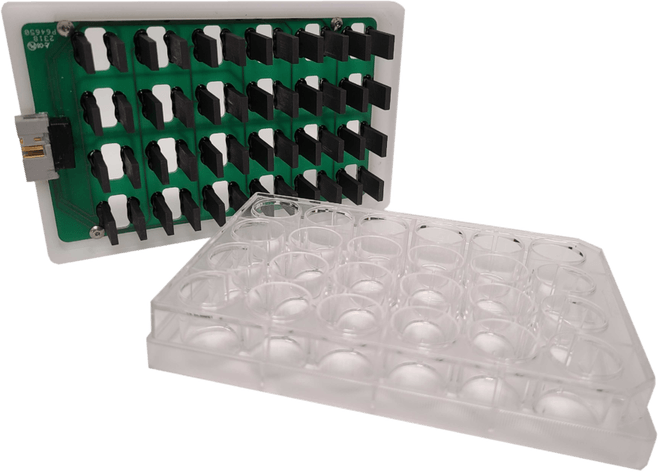 6 Well Plate PNG