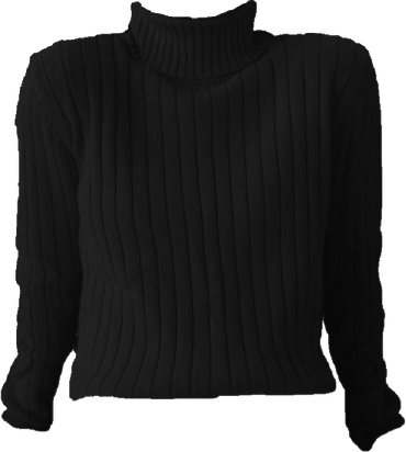 Turtle Neck Shirt PNG
