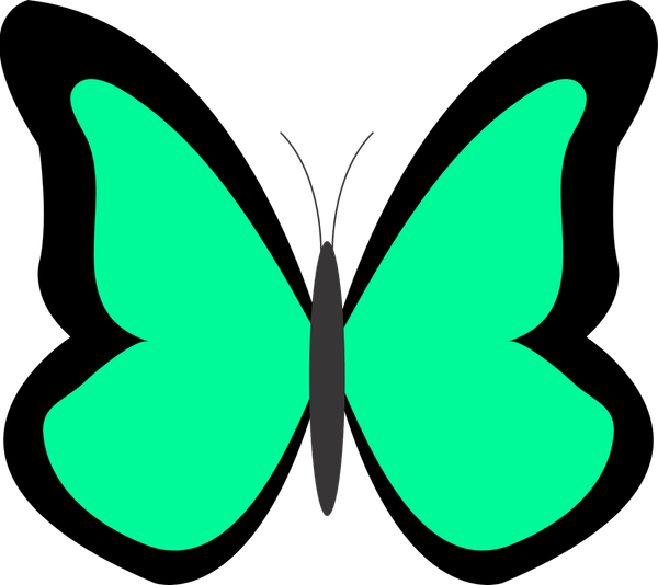Green Butterfly PNG