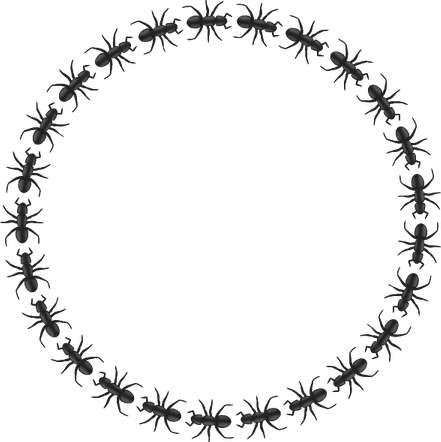 Spider Web Border PNG