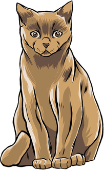 Sitting Cat PNG