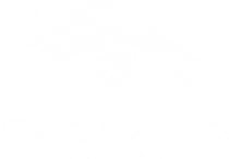 Denver Broncos Logo PNG