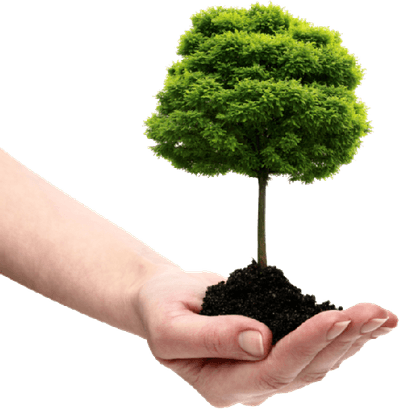 Hand With Tree PNG