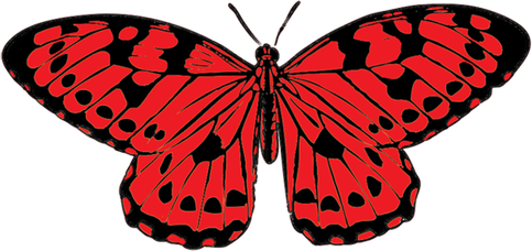 Red Butterfly PNG