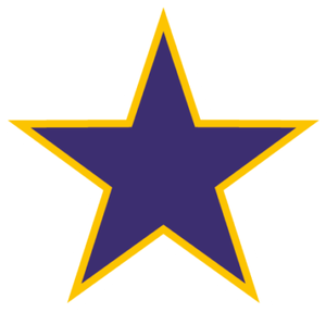 Purple Star PNG
