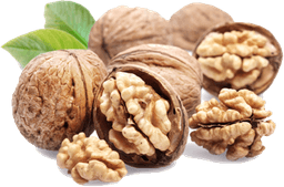 Walnut PNG