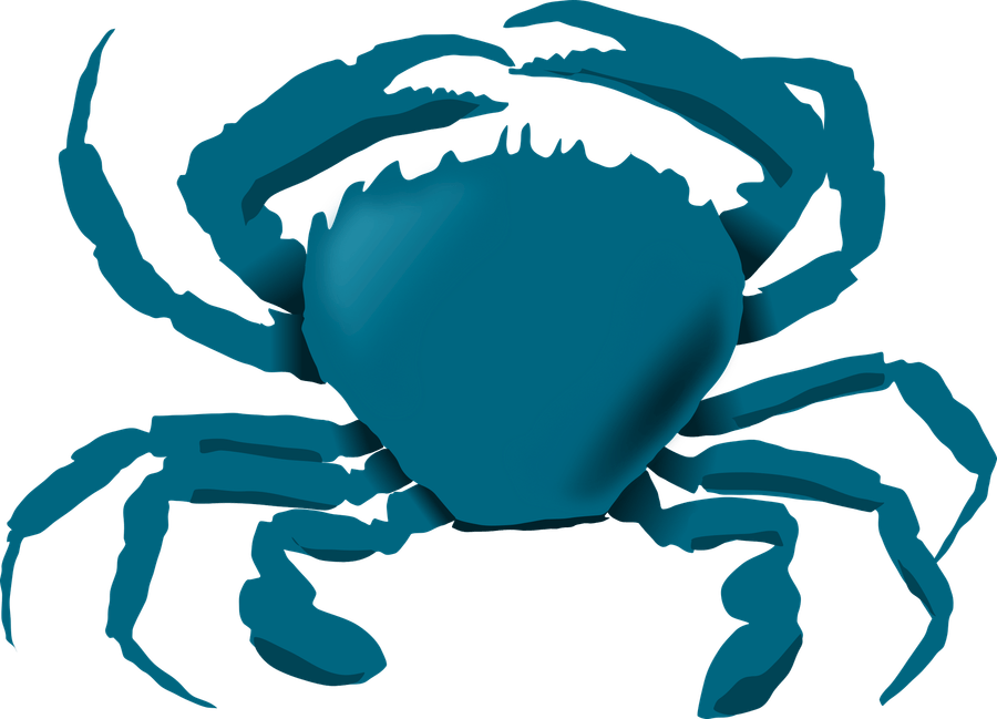 Blue Crab PNG