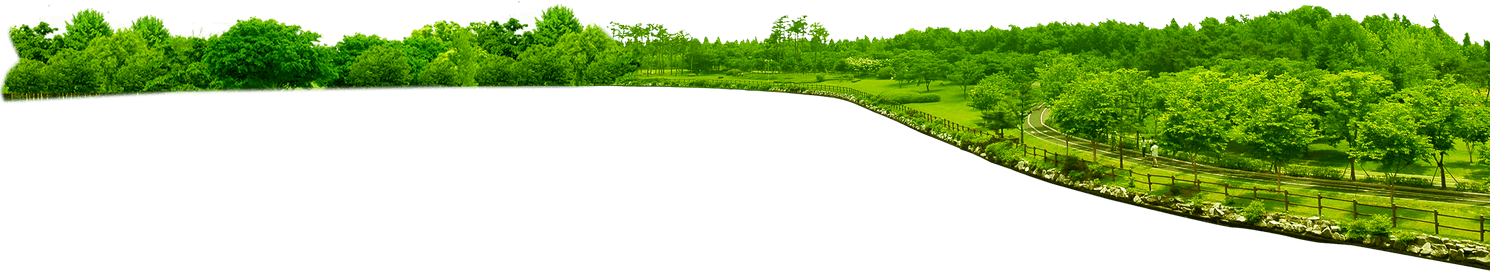 Lawn PNG