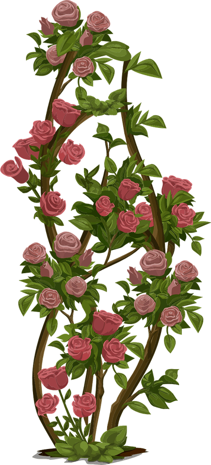 Minecraft Rose PNG