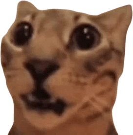 Surprised Cat PNG