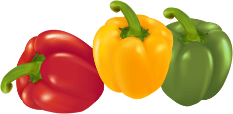 Bell Pepper PNG