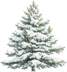 Snow Covered Tree PNG