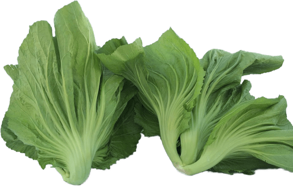 Bok Choy PNG
