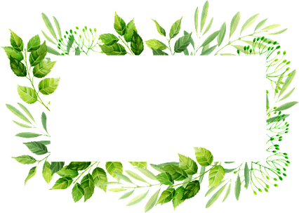 Border Leaves PNG