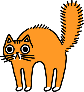Orange Cat PNG