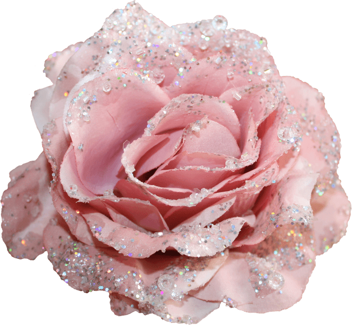 Pink Glitter PNG