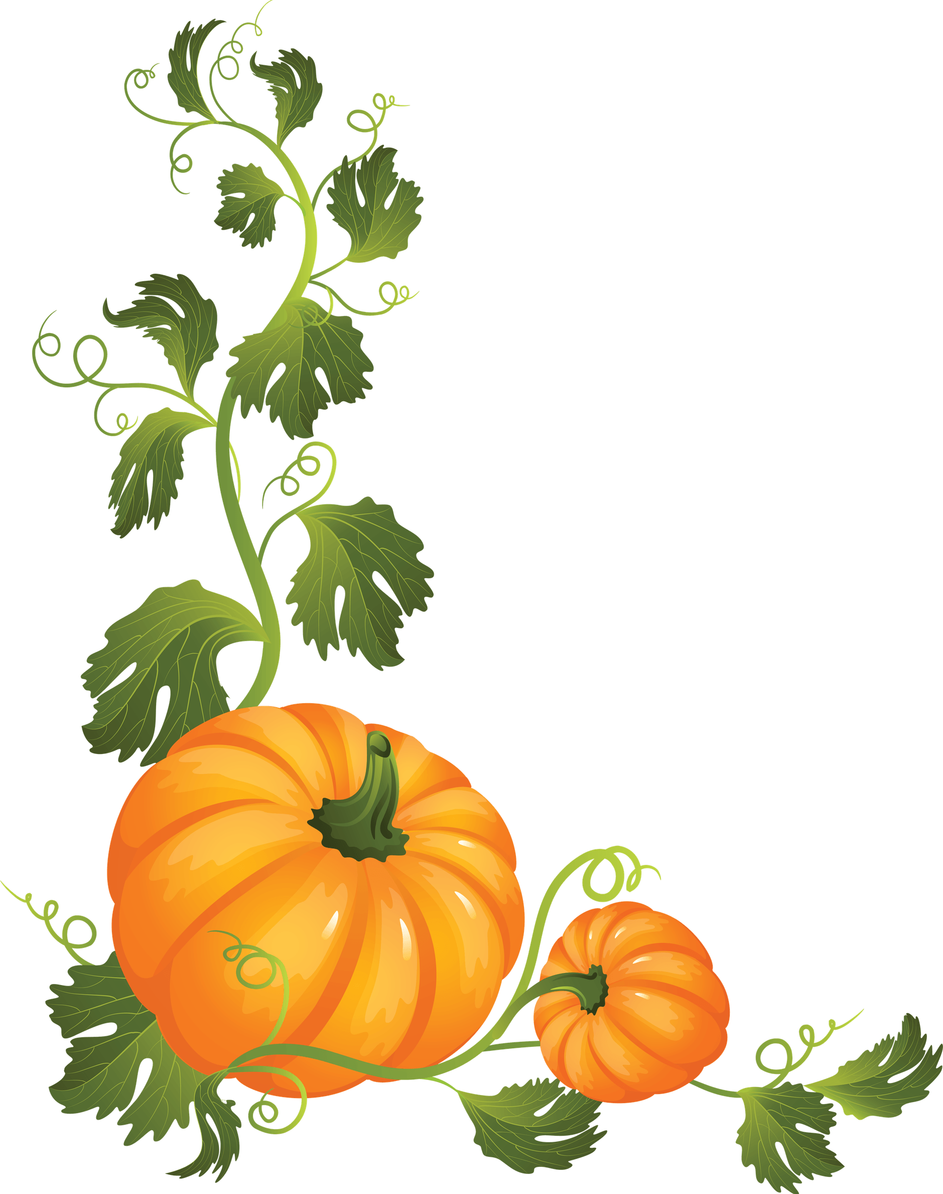 Pumpkin Border PNG