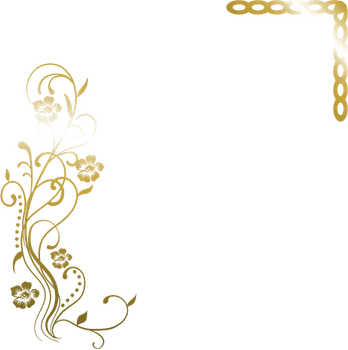 Golden Floral Border PNG
