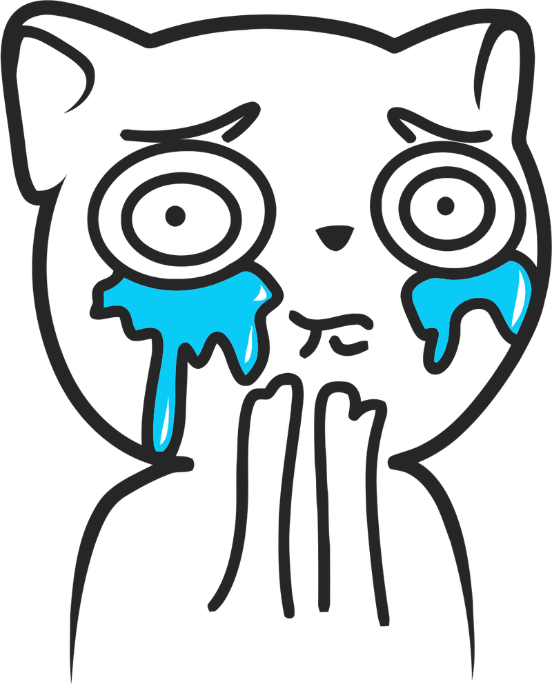 Sad Cat Meme PNG
