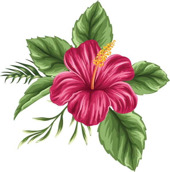 Hawaiian Flowers PNG