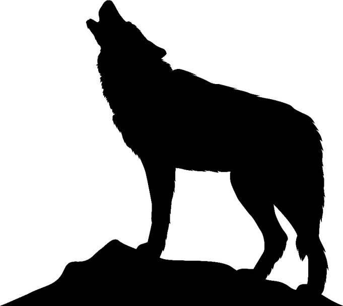 Black Wolf PNG