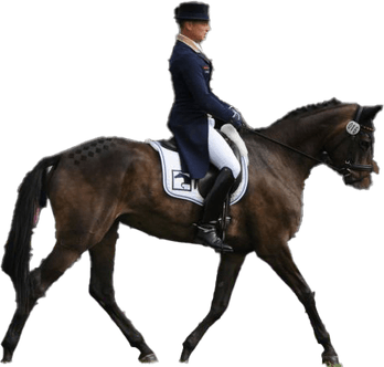 Michael Jung PNG