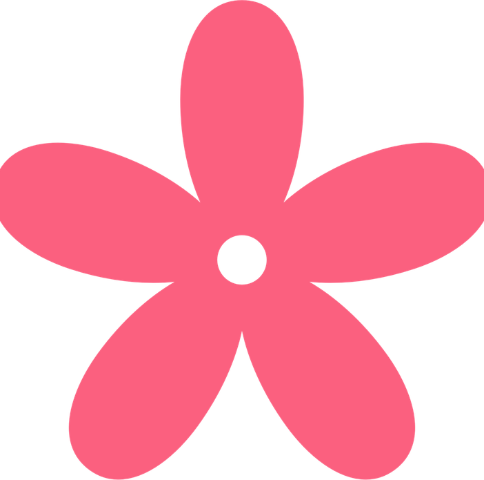 Cartoon Flower PNG