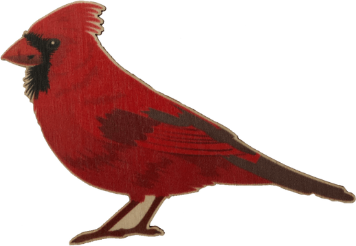 Cardinal Bird PNG