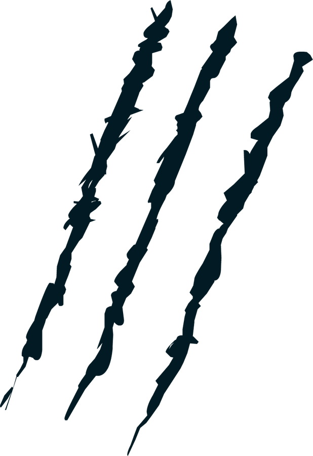 Realistic Claw Marks PNG