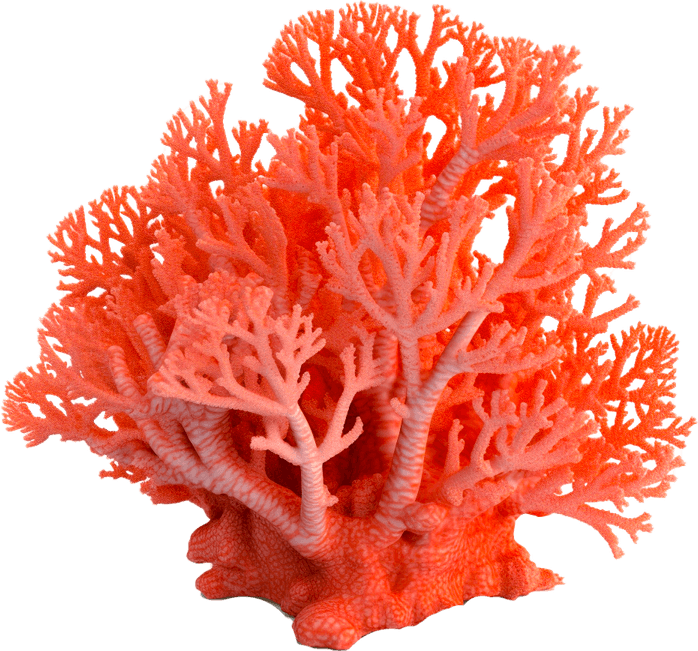 Underwater Tree PNG