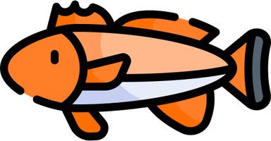 Red Drum Fish PNG