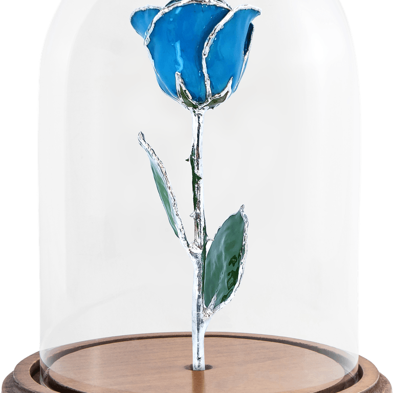 Enchanted Rose PNG