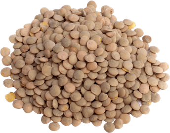 Lentils PNG
