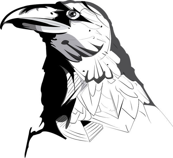 Crow Drawing PNG