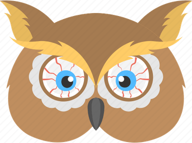 Scary Bird PNG