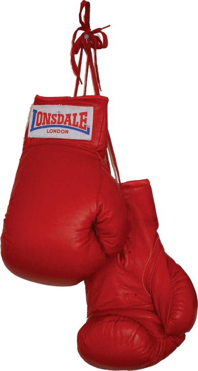 Boxing Gloves PNG