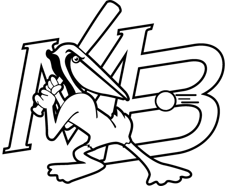 Myrtle Beach Pelicans PNG