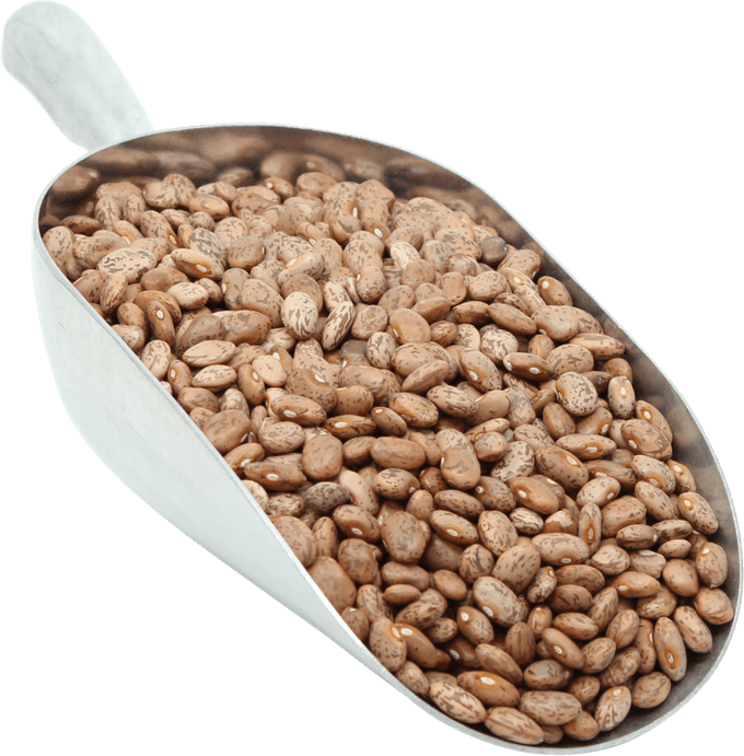 Pinto Beans PNG