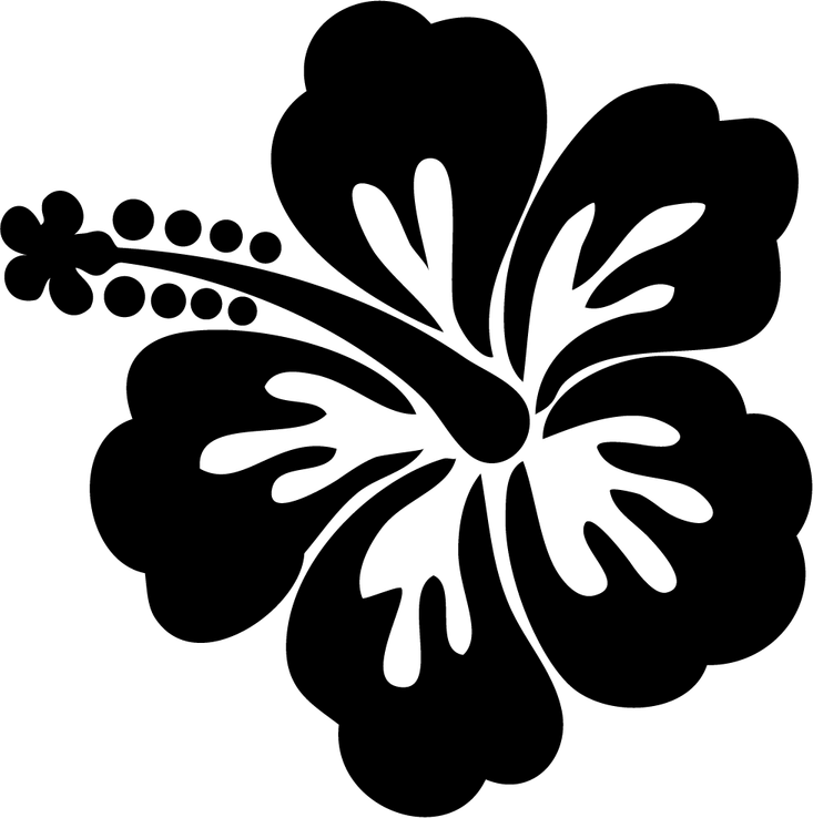 Black And White Flower PNG