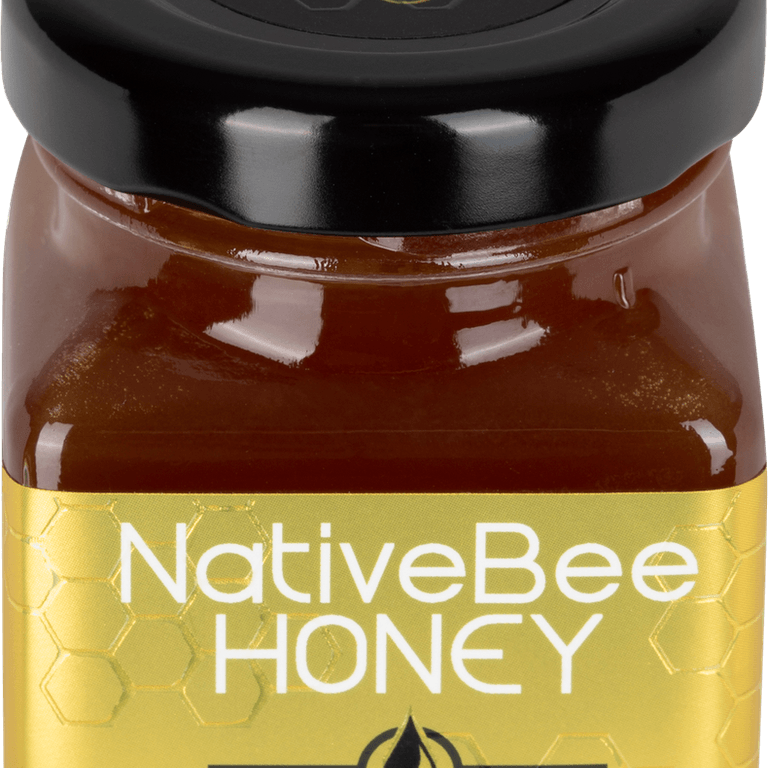 Bee Honey PNG