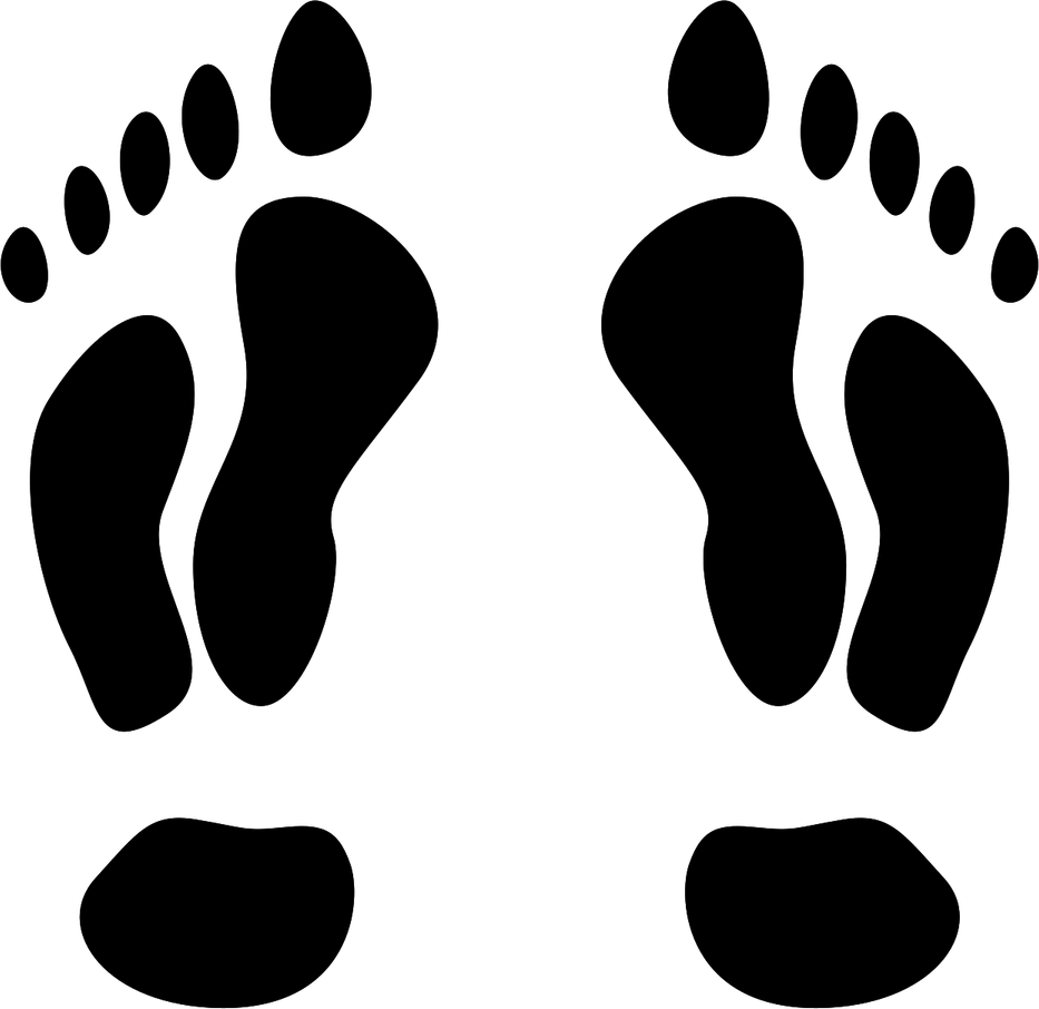 Animal Footprints PNG