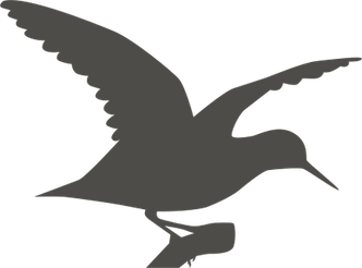 Sandpiper PNG