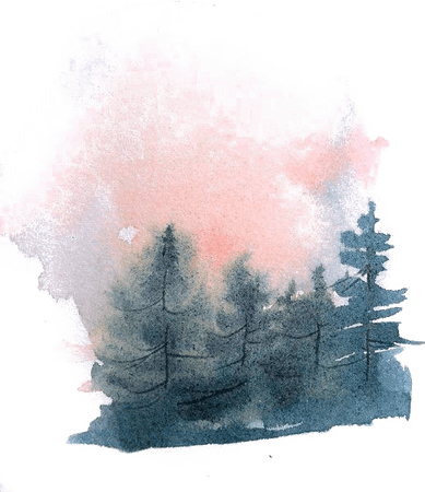 Watercolor Pine Tree PNG