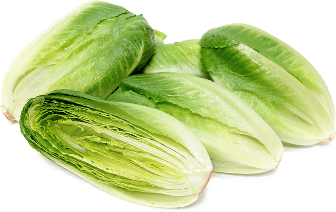 Lettuce PNG