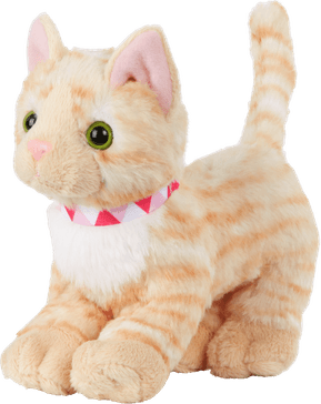 Plush Cat PNG