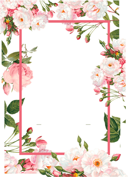 Pink Flowers Border PNG